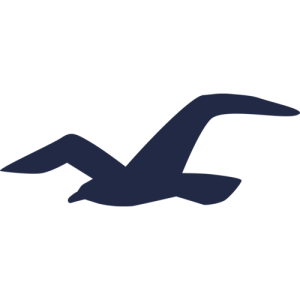 Find Hollister store Near Me - The Ultimate Dataset of All Hollister store Locations in USA