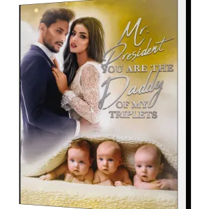 Download Mr. President: You Are The Daddy Of My Triplets Novel as PDF and EPUB