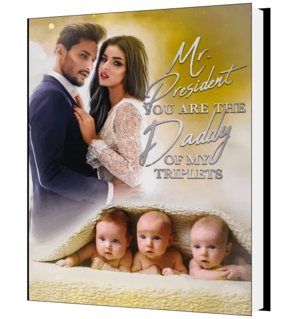 Download Mr. President: You Are The Daddy Of My Triplets Novel as PDF and EPUB